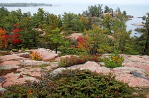 Pine Ridge II